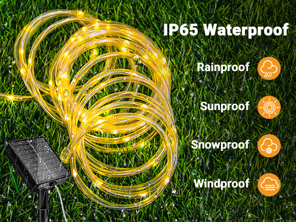 IP65 Waterproof