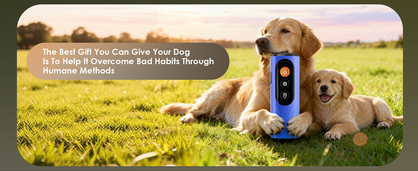 Dog Bark Deterrent Device