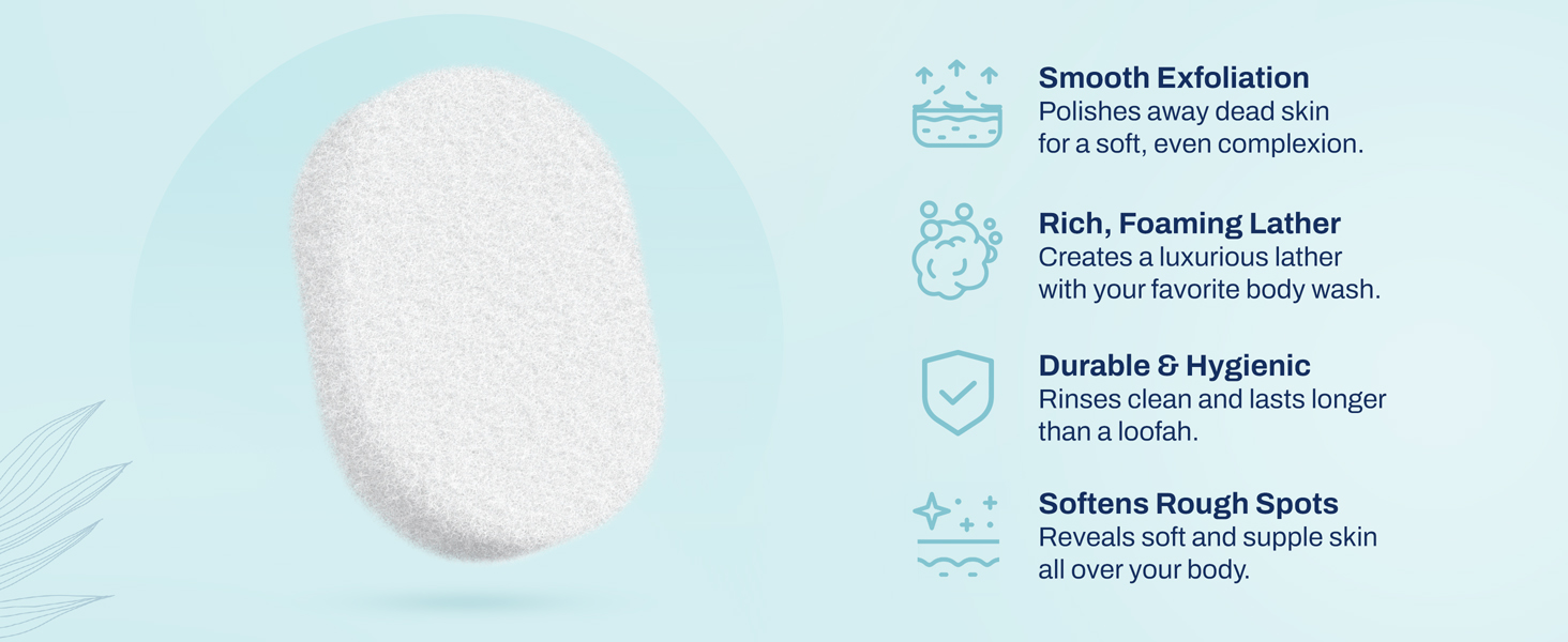 Body_Sponge_Desktop_Banner02
