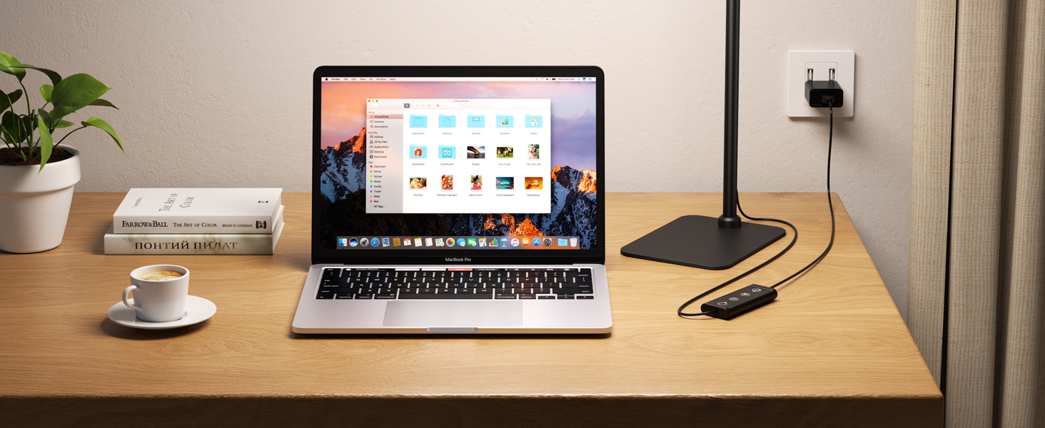 Premium LED Desk Lamp Desk Light