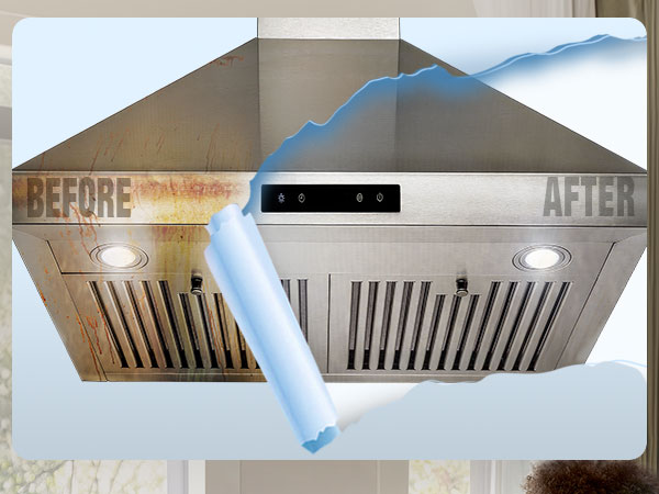 steam cleaner 