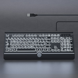 wired keyboard big