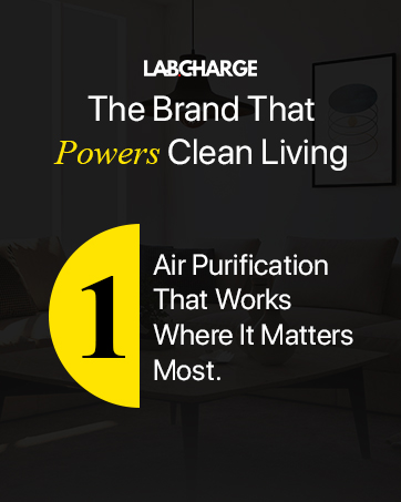 ionizer clean ozone odor purifers baby dog purificador aire radon