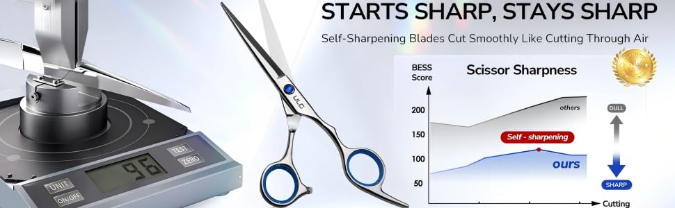 Professional Hair Scissors