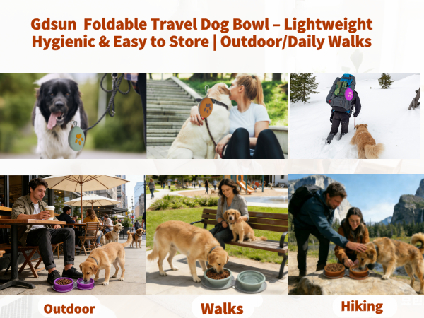 Easy to Store|Outdoor/Daily Walks Gdsun Foldable Travel Dog Bowl -Lightweight, Hygienic &amp; Outdoor