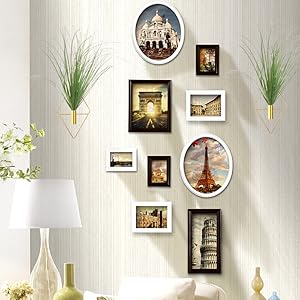 Hanging Planters