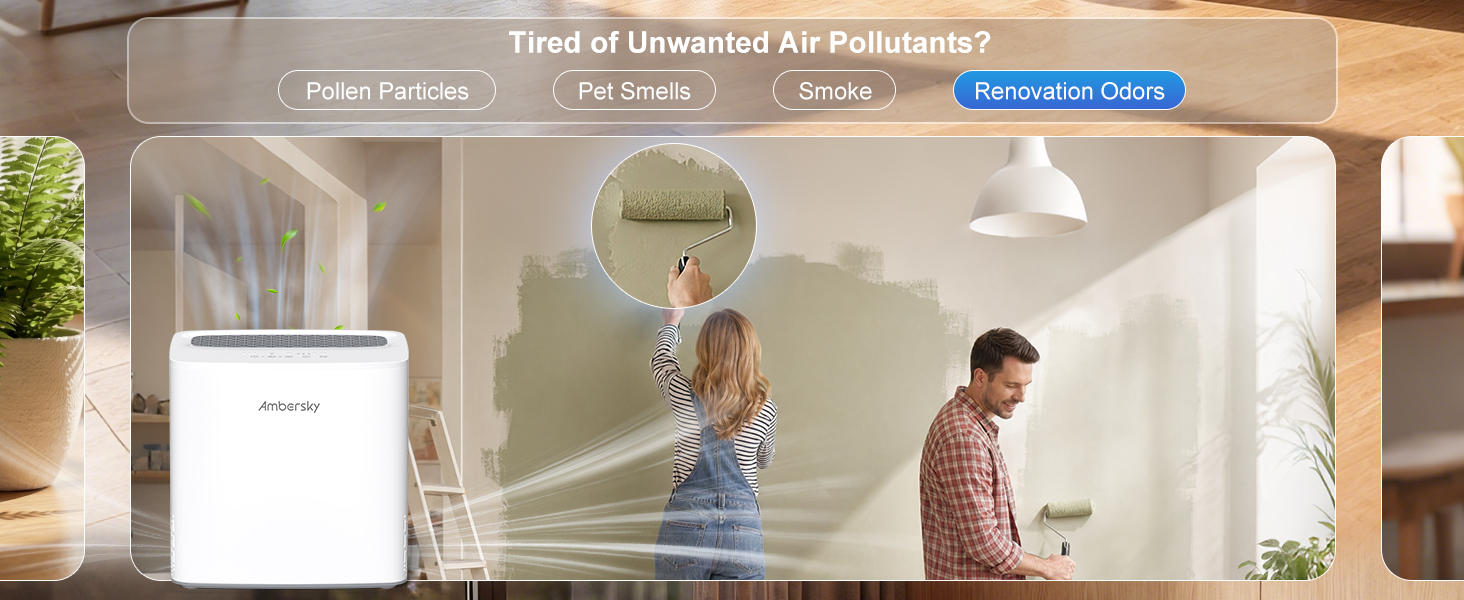Renovation Odors Air Purifier