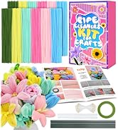 Eppingwin 360 PCS Pipe Cleaners for Flowers, Macaroon Chenille Stems for Crafts, Pipe Cleaners Bu...