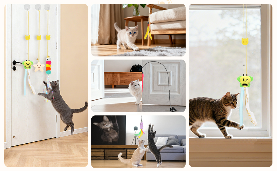 cat toys