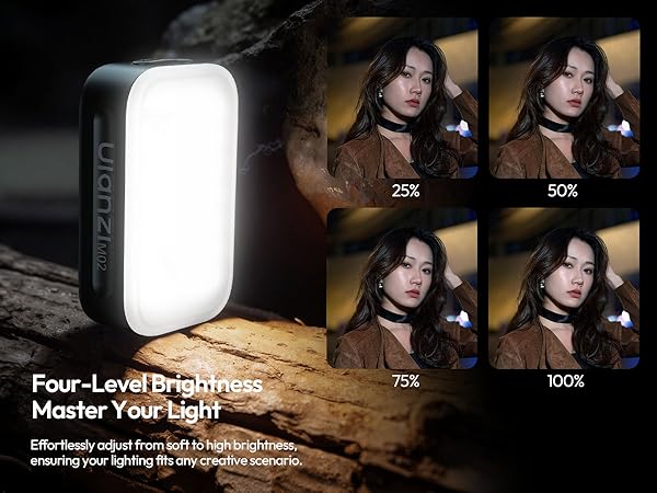 Text reads: 'Master Your light'. Series of photos showing lighting equipment with percentage indicators from 25% to 100%, demonstrating variable brightness levels.