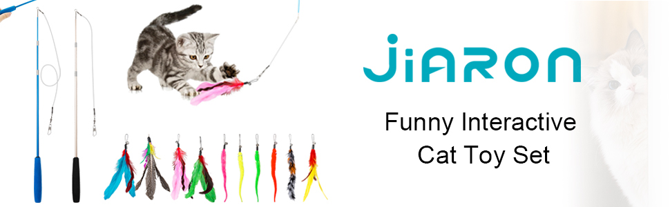 Cat toys