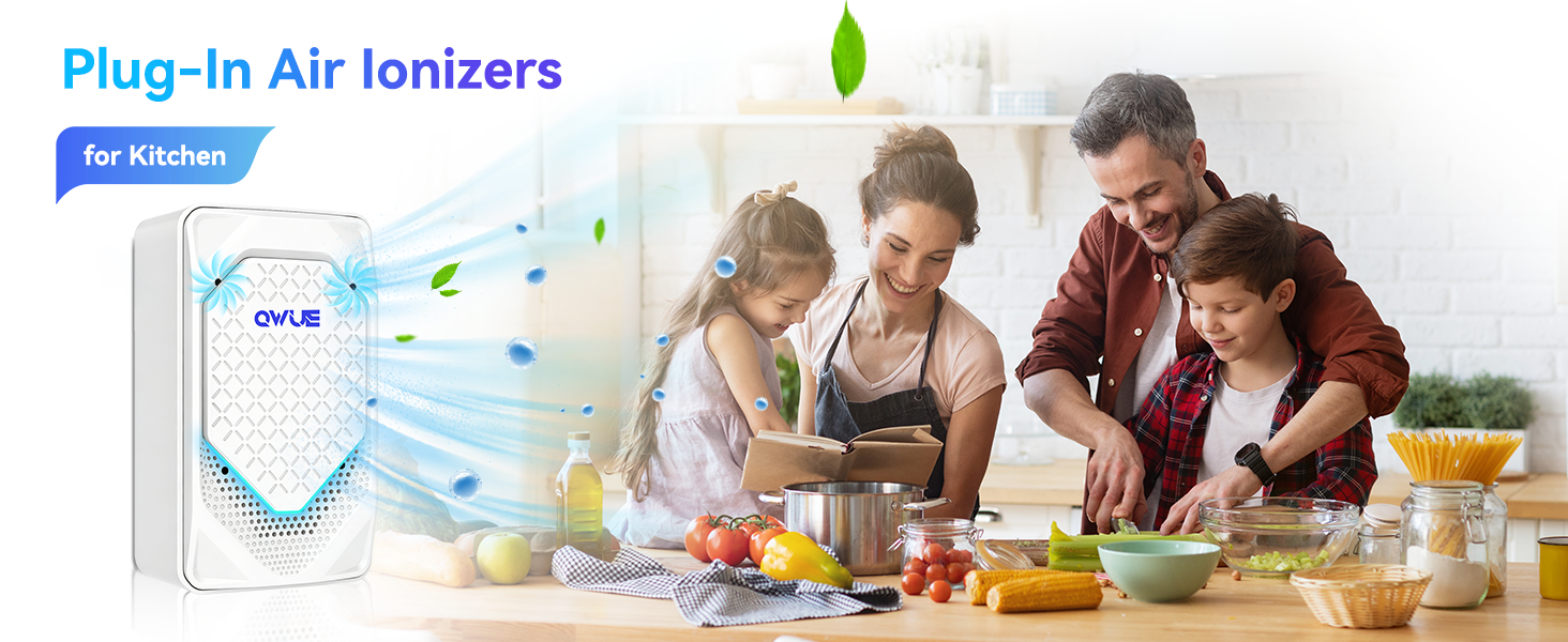 Air Ionizer Plug In