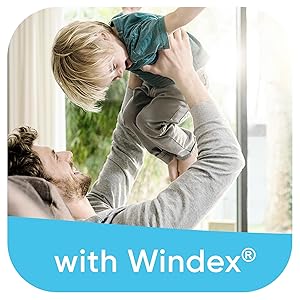windex kitchen cleaner, bathroom cleaner