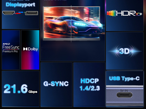 HDMI to DisplayPort Adapter