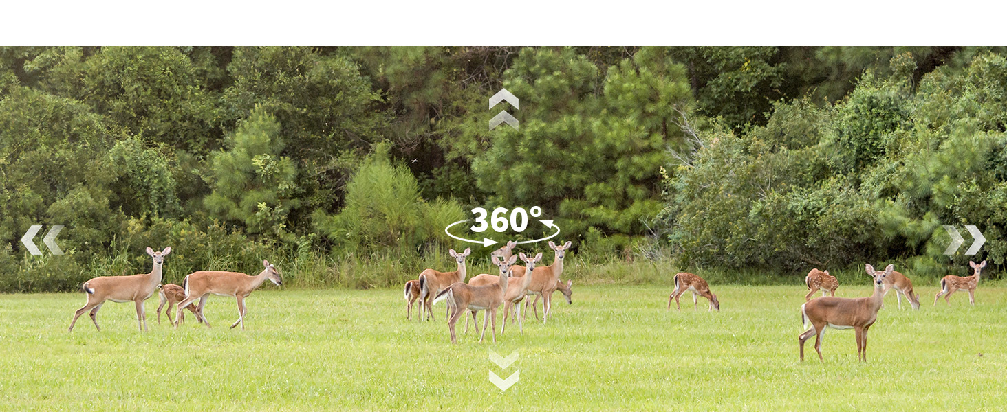 360 trail camera