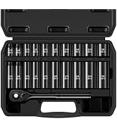 Reniteco 21-Piece 3/8