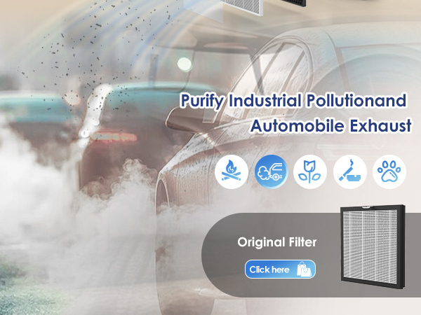 Air Purifiers for Home Large Room