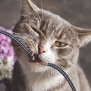 cat 7 ethernet cable ethernet cables internet cat8 LAN network high-speed cord gaming rj45 long 6 5