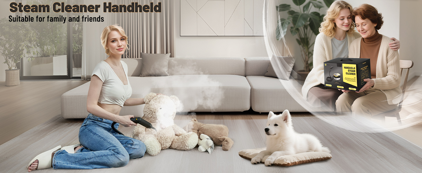 steam cleaner, steamer for cleaning, handheld steam cleaner, steam cleaner for home, steam cleaner