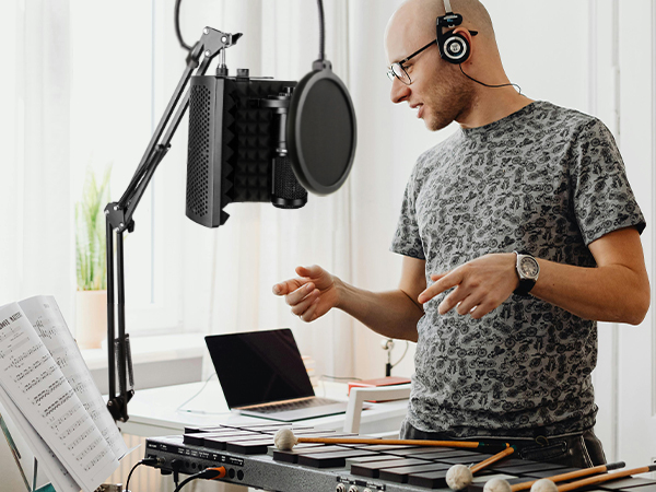 Microphone Isolation Shield