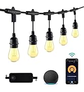HBN 96ft Outdoor String Lights-Smart Outside String Lights-30 LED Bulbs Dimmable &amp; Shatterproof, ...