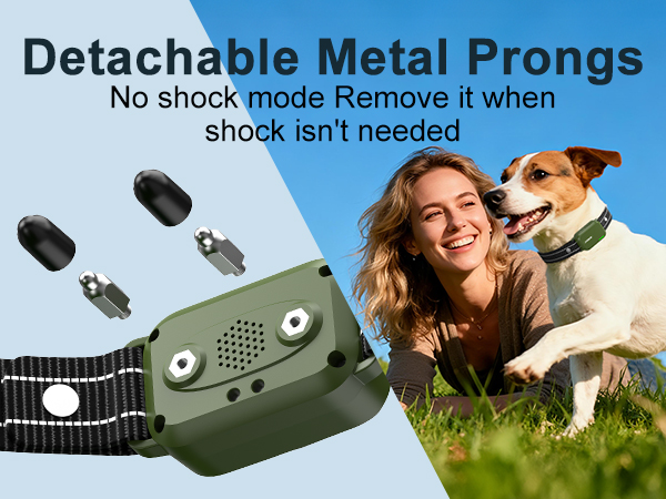 electric training collar for dogs