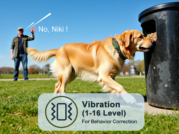 dog vibration collar with controller