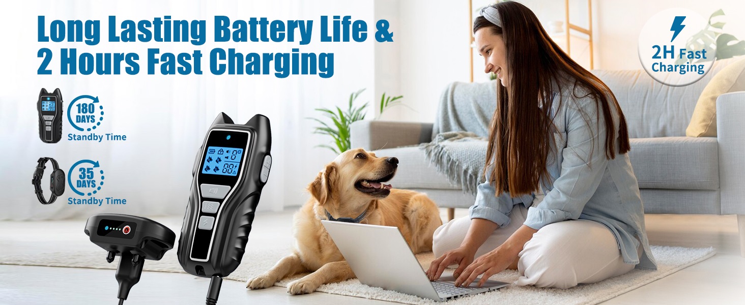 shock collar for dogs