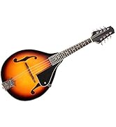Mandolin Instrument 8-String Acoustic, Basswood Top Steel Strings Rosewood Fingerboard Bridge Gui...