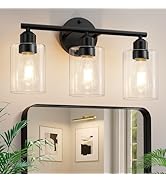 Percantis Picture Light with 3 Lights, Glass Shade, Black Modern Vanity Light Fixture for Bathroo...