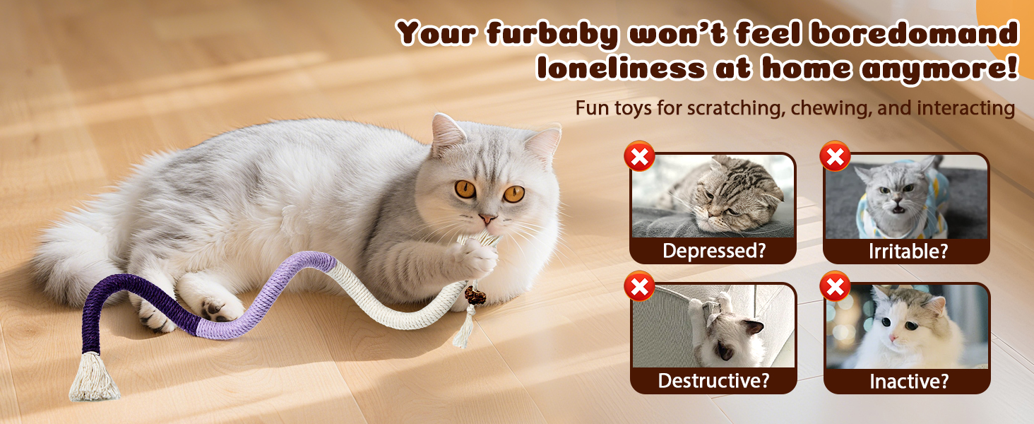 cat toy