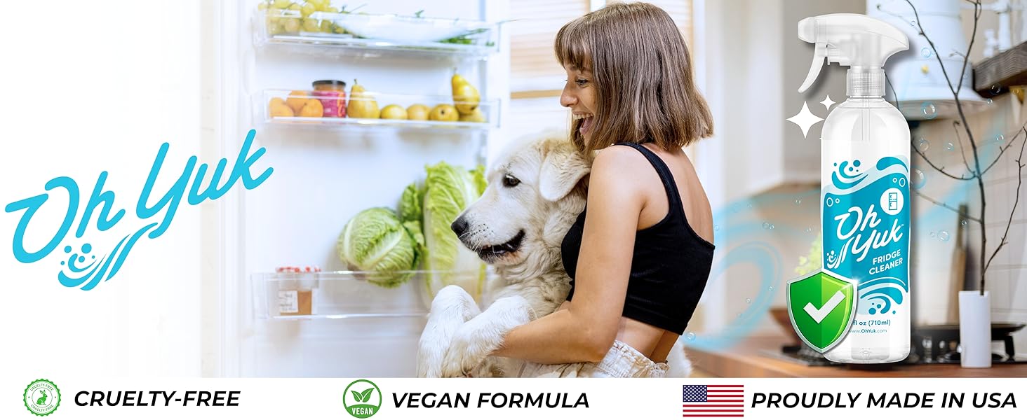 refrigerator fridge cleaner inside