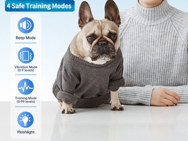 dog shock collar with remote control 2
