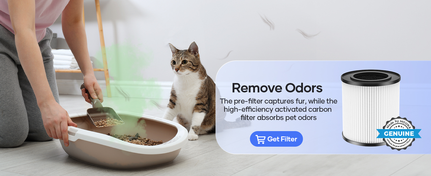 air purifiers for home