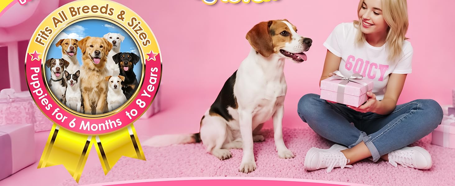 Compact and portable design