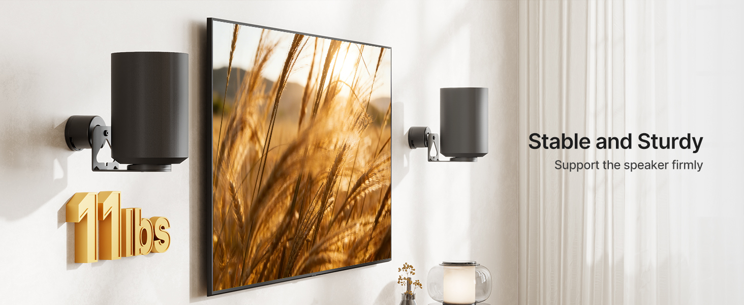 Weight Capacity 11lbs