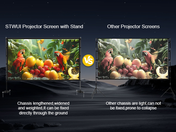 Projector Screen with Stand