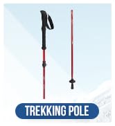 trekking pole