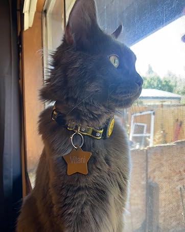 airtag cat collar