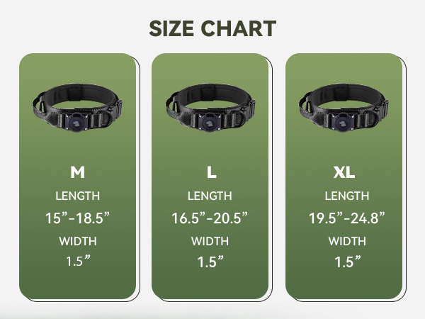 dog collar with airtag holder
