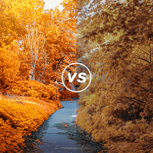 Outdoor Projection Screen