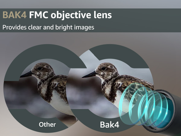 spotting scope for birding