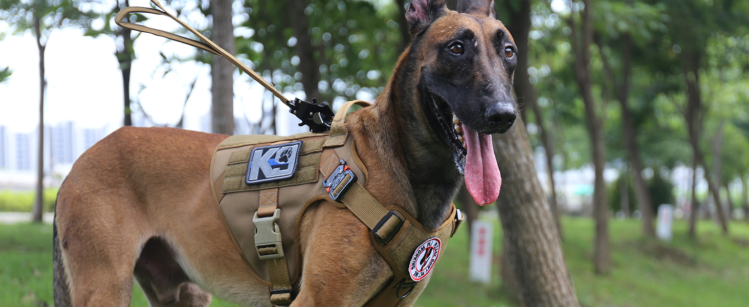 dog harness velcro