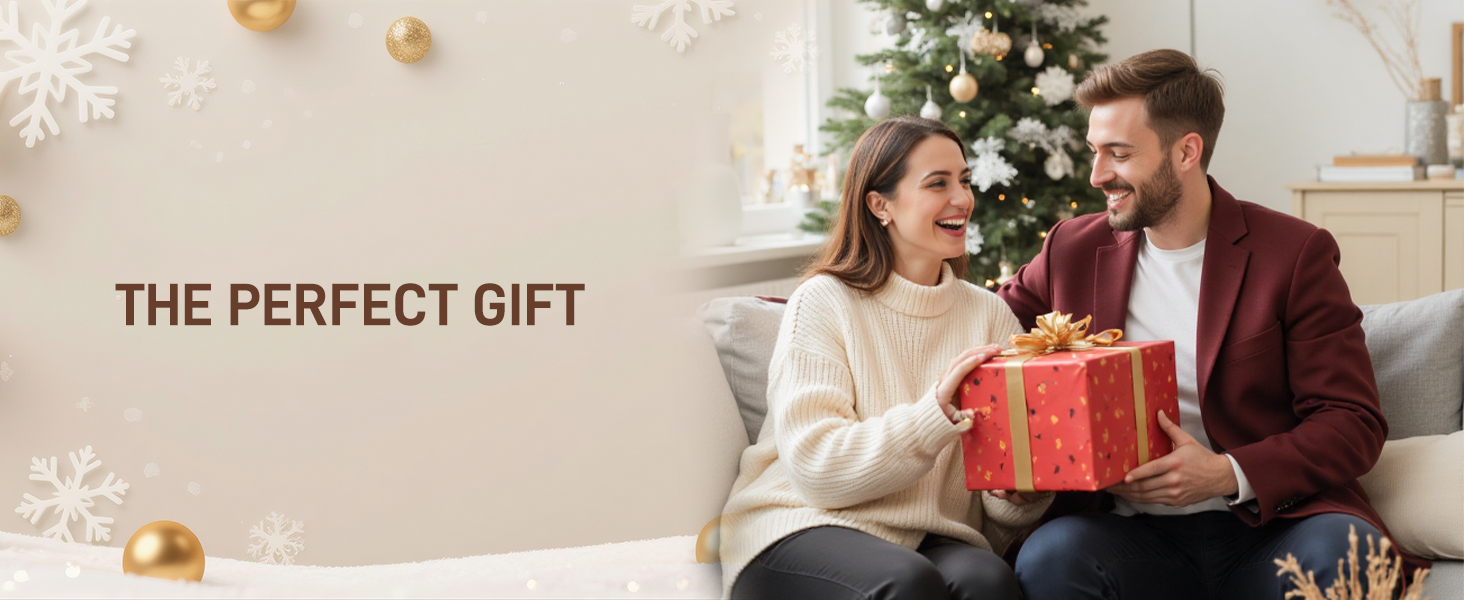 Dual voltage high-speed ionic hair dryer - the perfect Christmas gift for him/her