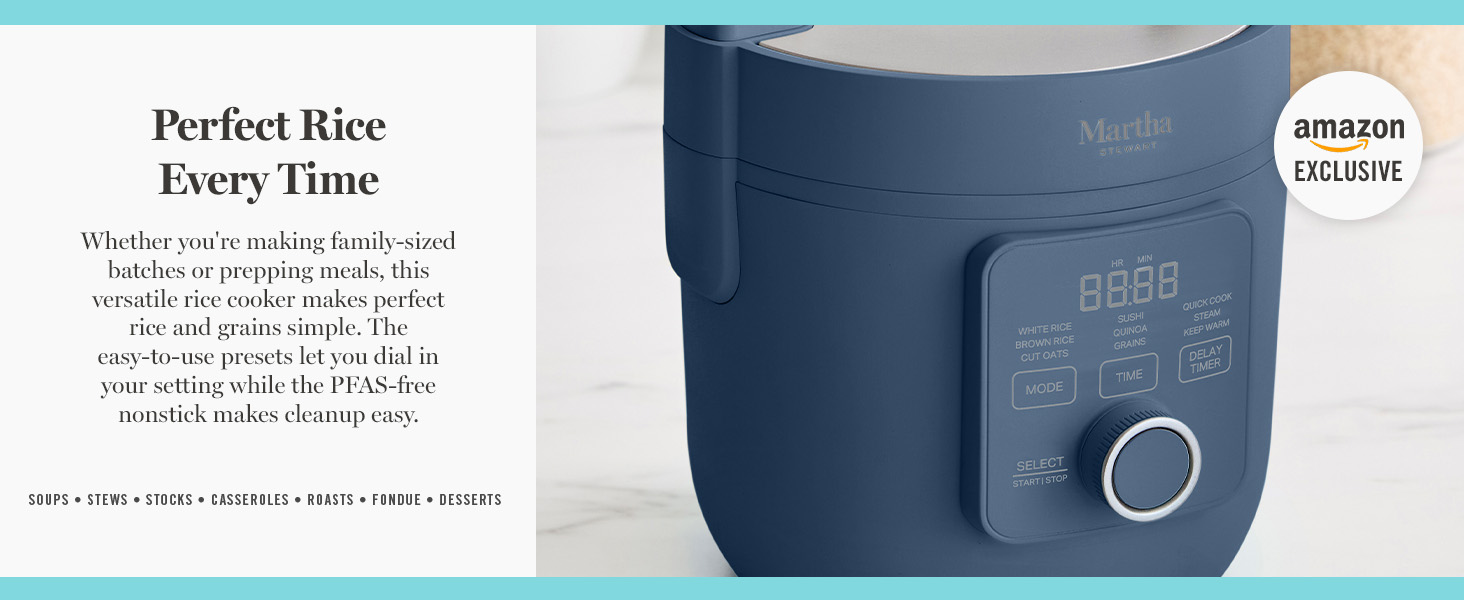 martha stewart, electrics, rice cooker
