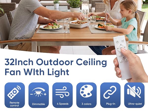 Outdoor Ceiling Fan with Light