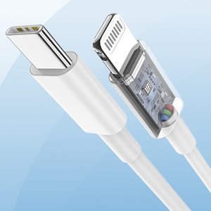 USB C to Lightning Cable
