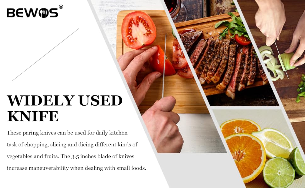 cooking knife, fruit knife, meat cutting knife, vegetable knife, cutting knife, slicing knife