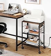 BF22UPS01 Printer Stand