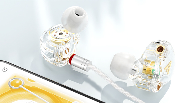 Audiovance Vibes 202_HiFi Wired Earbuds